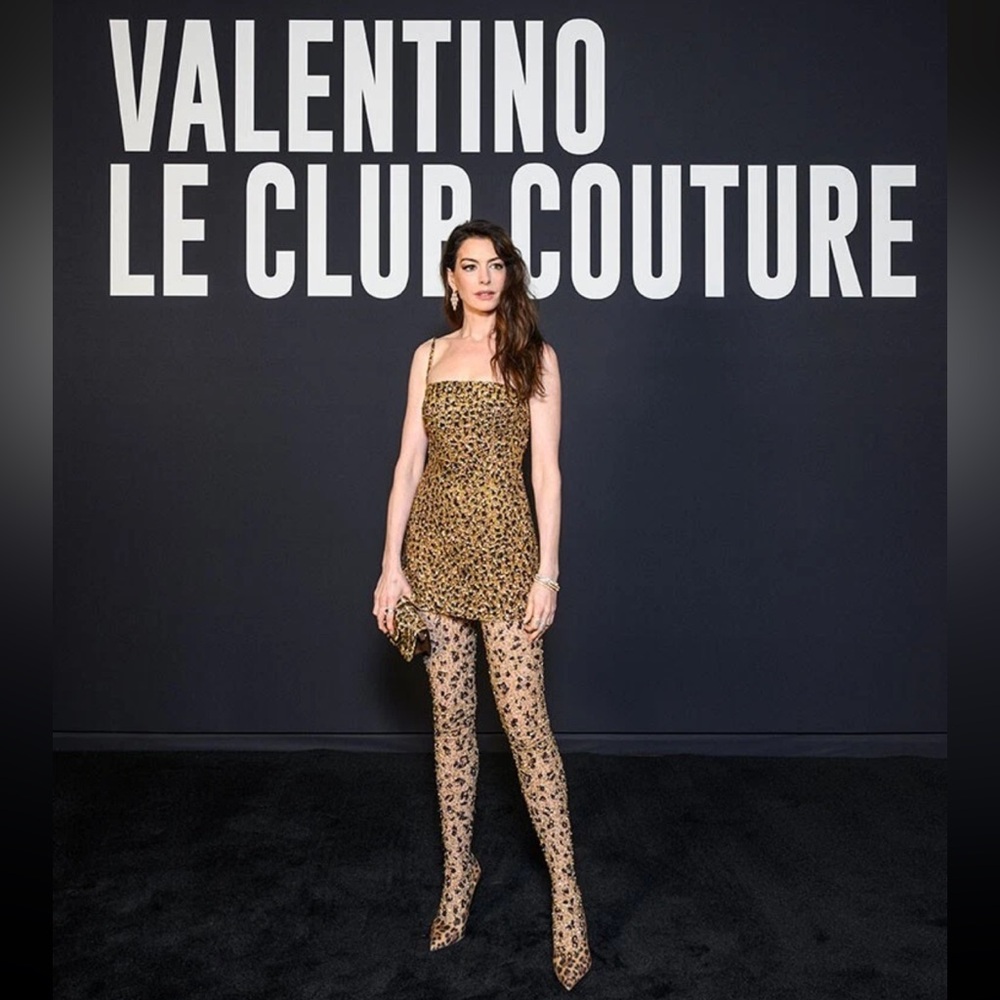 $16,000 NWT Valentino Animalier Embroidered Organza Mini Dress
